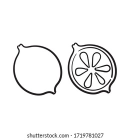 hand drawn doodle orange lime fruit illustration cartoon vector