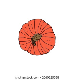 Handgezeichneter, orangefarbener Kürbis einzeln auf weißem Hintergrund.
