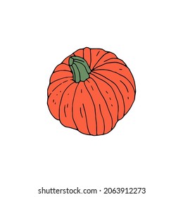 Hand drawn doodle orange pumpkin isolated on white background.
