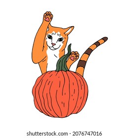 Calabaza naranja de garganta dibujada a mano y un gato saltando por detrás. Gracioso clipart de Halloween aislado en un fondo blanco.