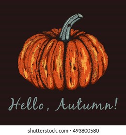 Hand drawn doodle orange pumpkin. Good for Halloween or Thanksgiving Day posters. With lettering "Hello, Autumn!"