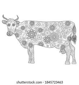Hand drawn doodle outline cow head decorated with ornaments. zentangle illustration.Floral ornament