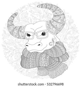 Hand drawn doodle outline cow head decorated with ornaments. Bull  in a scarf and glasses. Freehand sketch for adult anti stress coloring book page with doodle and zentangle elements.