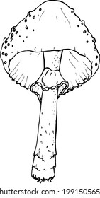 Hand drawn doodle outline magic mushrooms.vector illustration