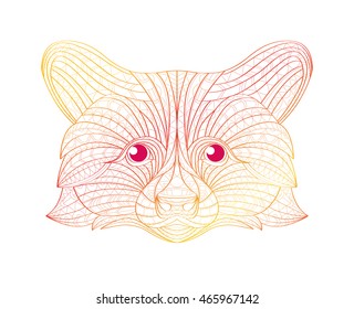 Hand drawn doodle outline raccoon illustration. Decorative in African indian totem Ethnic tribal aztec design. Sketch for adult antistress coloring page.