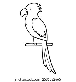 Hand drawn doodle parrot isolated on white background. Vector illustration.