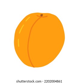 Hand drawn doodle peach vector illustration
