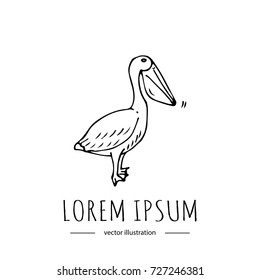 Hand drawn doodle Pelican icon isolated on white background. Vector illustration. Zoo related icon - Colorful bird. Sketchy element. Cartoon wild animal Wing Beak neck, legs fins