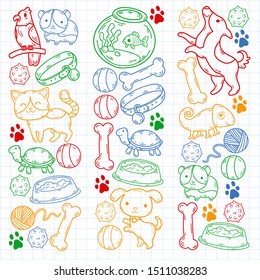 Hand drawn doodle Pets stuff and supply icons set. Vector illustration. Vet symbol collection. Cartoon dogs and cats care elements: kennel, leash, food, paw, bowl, bone and other goods for pet shop