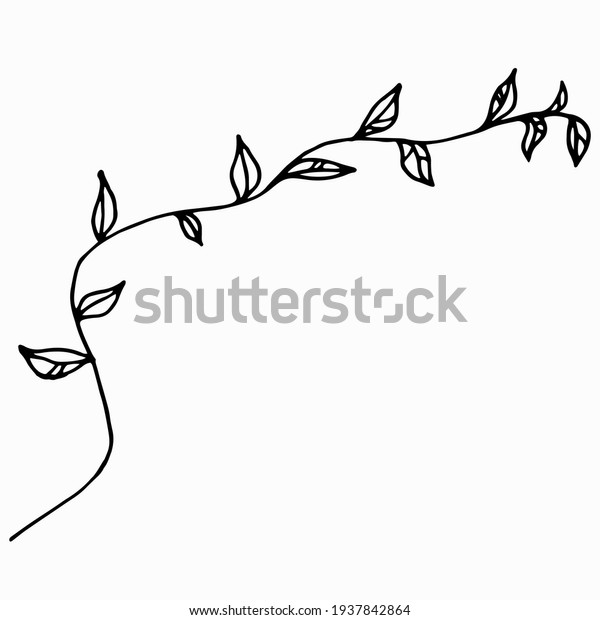 Hand drawn doodle plant\
branch isolated on white background.Vector doodle plants\
illustration.