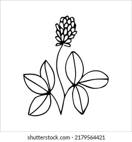 elemento de planta de doodle dibujado a mano para el concepto de diseño floral