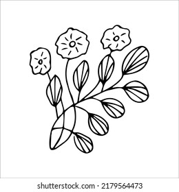 hand drawn doodle plant element for floral design concept