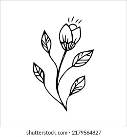 elemento de planta de doodle dibujado a mano para el concepto de diseño floral