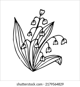 hand drawn doodle plant element for floral design concept