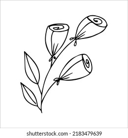 hand drawn doodle plant element for floral design concept