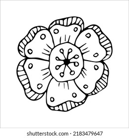 hand drawn doodle plant element for floral design concept