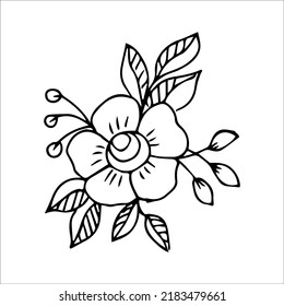 hand drawn doodle plant element for floral design concept