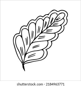 hand drawn doodle plant element for floral design concept