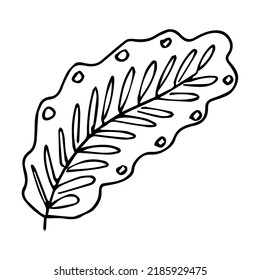 handgezeichnetes Doodpflanzenelement für Blumendesign