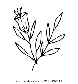 handgezeichnetes Doodpflanzenelement für Blumendesign