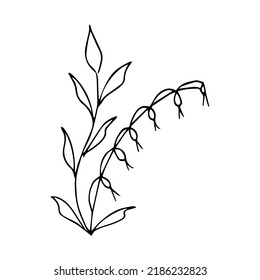 handgezeichnetes Doodpflanzenelement für Blumendesign