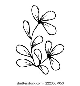 handgezeichnetes Doodpflanzenelement für Blumendesign