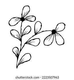 hand drawn doodle plant element for floral design concept