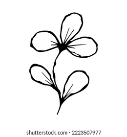 hand drawn doodle plant element for floral design concept