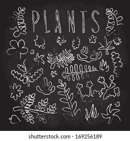 Hand drawn doodle plants isolated vector silhouettes