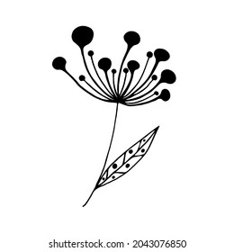 
Hand drawn doodle plants with round berries or flowers isolated on white background. Vector illustration. A sketch of a branch with flowers, berries. Design for print, banner, greeting card, logo