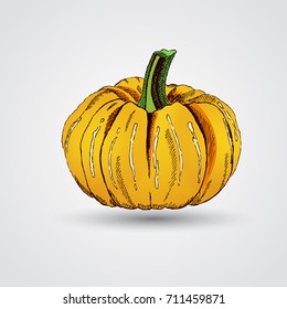 Hand drawn doodle pumpkin.