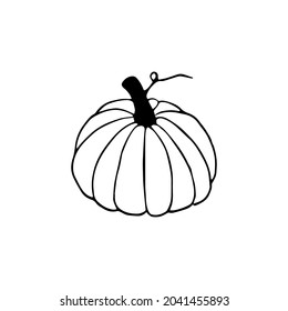 Hand drawn doodle pumpkin clipart. Vector black and white pumpkin for Halloween or Thanksgiving design. Outline.