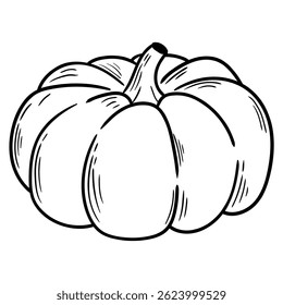 Hand drawn doodle pumpkin isolated on a white background. Vector illustration.