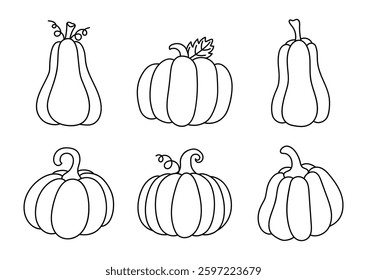 Hand drawn doodle Pumpkins collection. Vector linear harvest set on white backdrop