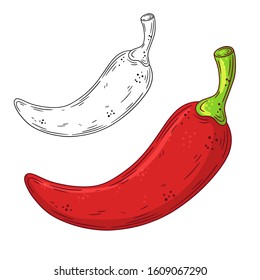 Hand drawn doodle red chilli pepper. Vector illustration isolated on white background. Design element.