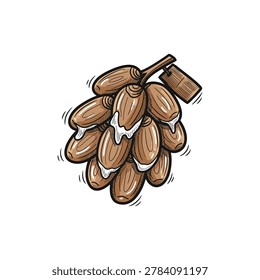 Hand drawn doodle of retro brown cluster sweet sticky date fruit bunch