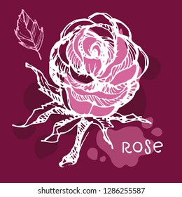 Hand drawn doodle rose art