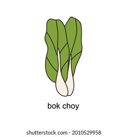 hand drawn doodle of salads with the title. bok choy. isolated vector illustration doodle on white background