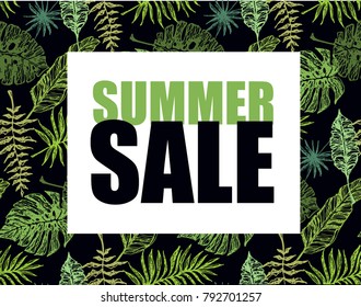 Hand drawn doodle sale banner with palm tree leaves. Summer sale