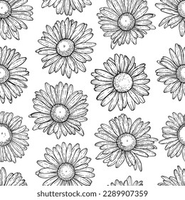 Hand Drawn doodle Scribble floral plants camomile seamless pattern. Abstract flowers daisy. Creative minimalist Abstract art background. Design wall decoration, postcards, poster or brochure