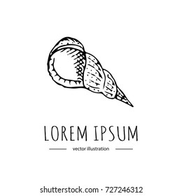 Hand drawn doodle sea Shell icon isolated on white background. Vector illustration Florida symbol USA cartoon ocean element Tropical beach vacation seashell Underwater life