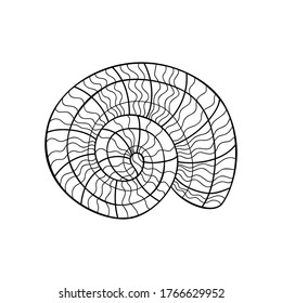 Hand drawn doodle seashell with wavy pattern on white isolated background. Summer ocean object. For coloring book pages.