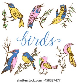 Hand drawn doodle set of birds. Vector sketch elements for card design and scrapbook  isolated on white background.