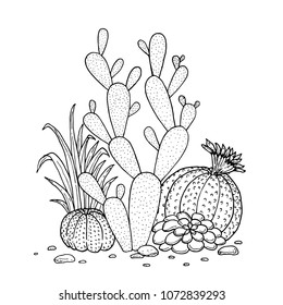 hand drawn doodle set of cactus and succulent