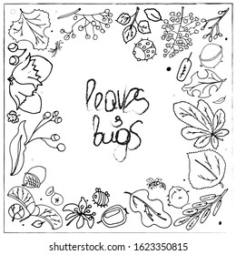 Hand drawn doodle set of clip arts. Tree leaves and bugs compilation. Vector illustration seasonal leaf acorn bee ladybug mosquito collection Cartoon different kinds of leaves isolated on white