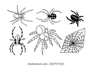 Hand drawn doodle set of different type of spiders and spider web. Sketch design for Halloween. Black sketch elements on white background. Good for coloring pages, stickers, tatoo.