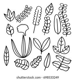 Hand drawn doodle set of Leaves