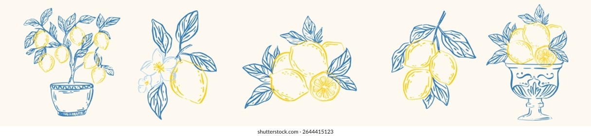 Hand drawn doodle set of Mediterranean lemon tree branches, blossoms, fruits in pots and glass bowls. Vector  doodle in italian style. Perfect for summer prints, packaging, food branding