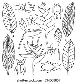 Hand drawn doodle set with tropical elements. Vector illustration for textile prints, web and graphic design, covers, posters
