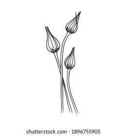 Hand drawn doodle silhouettes of flowers. Fantasy decorative leaf with various patterns. Hand drawn doodle illustration